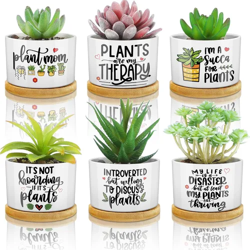 Miniatura 9 de 6 piezas de juego de regalos con versículos de la Biblia cristiana, gracioso juego de macetas para plantas suculentas con bandeja de bambú, maceta