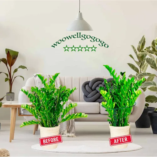 Miniatura 3 de Estaca de soporte para plantas de serpiente, estaca y soporte de peonía semicircular, jaula de soporte de hortensias resistente, anillo de soporte