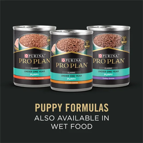 Miniatura 9 de Purina Pro Plan - Comida para perros con piel y estómago sensibles, fórmula de salmón y arroz para cachorros - Bolsa de 24 libras