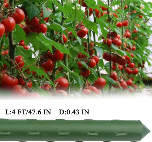 Miniatura 3 de Sunnyglade 25 estacas de 48 pulgadas para plantas de jardín, tomate, estacas y soportes para plantas en maceta