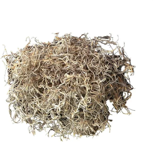 Miniatura 2 de Mosser Lee Musgo español – Musgo decorativo natural para plantas de interior, cubierta de tierra, manualidades, terrarios y arreglos florales - 2.4