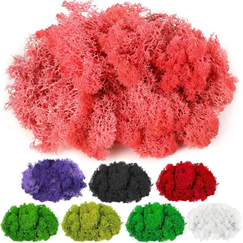CCINEE Musgo preservado, musgo de reno falso de 4 onzas para plantas en maceta para manualidades, decoración floral de pared, centros de mesa de Rosa