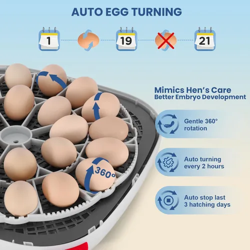 Miniatura 6 de Sailnovo 24 incubadoras de huevos para incubar huevos, control automático de temperatura y giro de huevos, vela de huevos, incubadora de visión