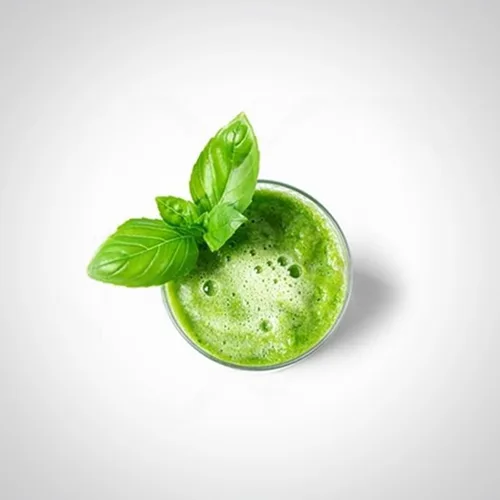Miniatura 3 de Longevity - Planta de espinacas (paquete de 4) Planta vegetal viva real a la venta Superalimento rico en nutrientes Planta viva fácil