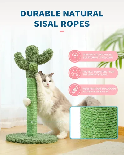 Miniatura 4 de MADE 4 PETS - Poste rascador de gato de 25.6" con cactus, rascador de gato con cuerda de sisal para gatitos, poste vertical para rascar para gatos