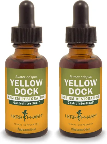 Miniatura 2 de Herb Pharm Extracto líquido de muelle amarillo para apoyo del sistema digestivo - 1 onza