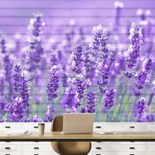 Miniatura 50 de NWT Murales de pared para dormitorio, hermoso diseño de imagen, papel tapiz extraíble, calcomanías de pared para despegar y pegar, 66 x 96 pulgadas