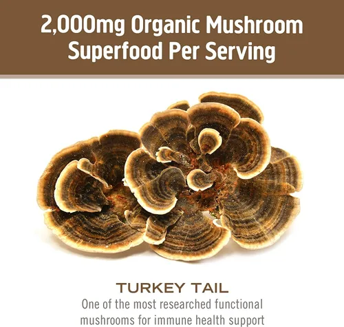 Miniatura 5 de Om Mushroom Superfood Suplemento superalimenticio de cápsulas de hongos de cola de pavo, 90 unidades, 30 días, apoyo inmunológico, polisacáridos