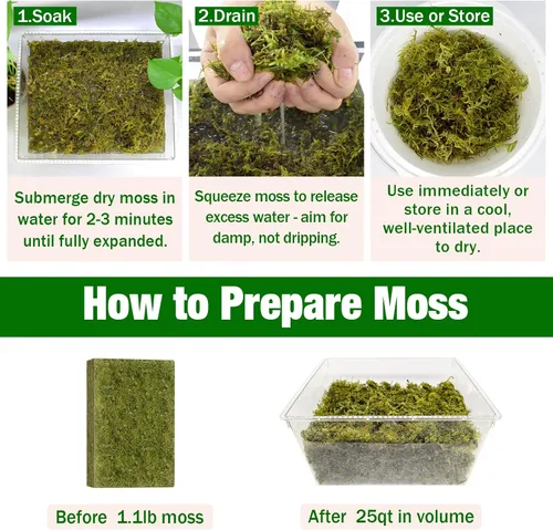 Miniatura 3 de ZeeDix 1.1 lb de musgo forestal para plantas de interior - Musgo de orquídea seco para replantar, musgo sphagnum verde natural para plantas