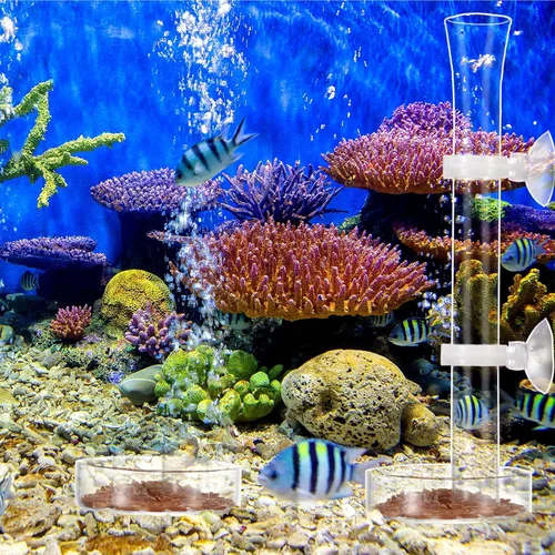 Miniatura 7 de Chengu Juego de 3 tubos y platos de alimentación de camarones, tubo de alimentación de camarones de vidrio de 8 pulgadas y 2 cuencos de acuario