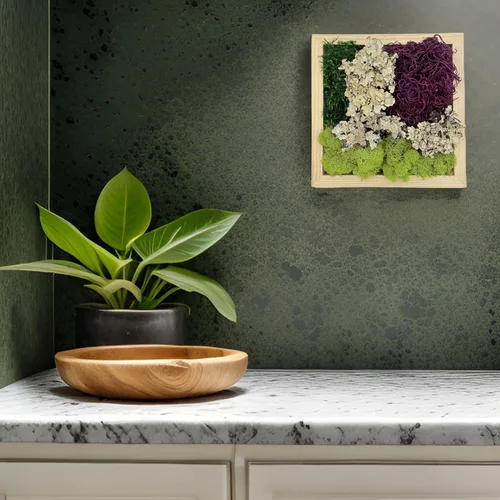 Miniatura 3 de Quality Growers - Paquete variado de la colección Moss - Musgo decorativo natural - Manualidades, decoración del hogar, proyectos de arte, diseño