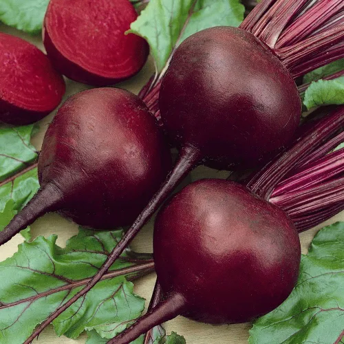 Semillas de remolacha roja oscura de Detroit, paquete de 100 semillas, carne roja de sangre dulce y sabrosa - Country Creek LLC
