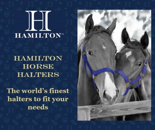 Miniatura 5 de Hamilton Quality Horse Halter, nailon de triple capa de 1 pulgada, anilla o burro estándar, 300-500 libras, rojo Rojo (Red Brick)