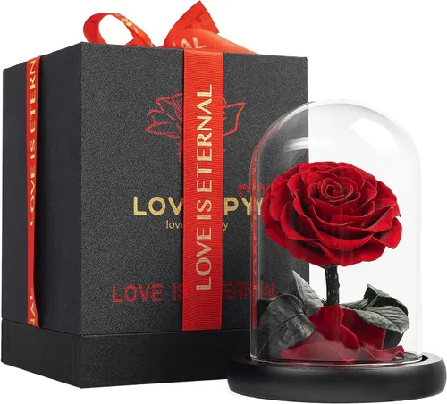 Miniatura 14 de Rosa Preservada para Siempre – Rosa Eterna en Cúpula de Cristal – Rosa de la Bella y la Bestia para Mamá – Flores Frescas para Entrega Prime
