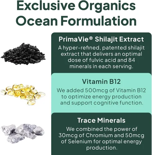 Miniatura 5 de Organics Ocean Shilajit para hombres y mujeres – Suplemento Shilajit con vitamina B12, cromo y selenio para desafiar la edad, la energía, el apoyo