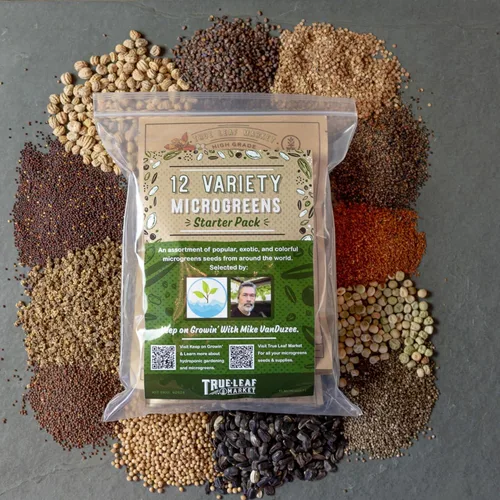 Miniatura 9 de Kit de semillas de microverdes de 12 variedades - Semilla de brócoli para germinado más rábano morado, remolacha, microverdes de girasol, guisantes