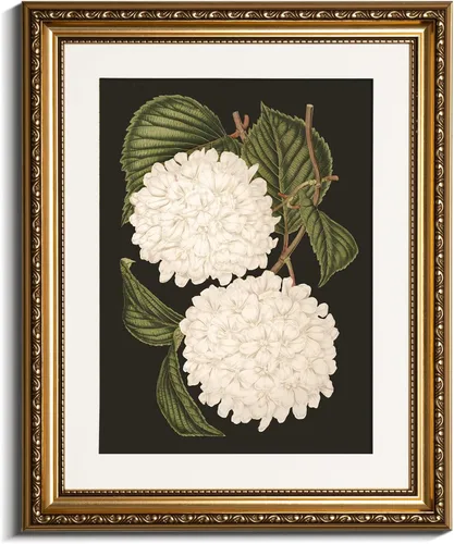 Miniatura 51 de VIYYIEA Arte de Pared con Marco Dorado Impresión en Lienzo Decoración del Hogar para Sala de Estar Mujeres Leyendo Cuadros para Dormitorio Baño