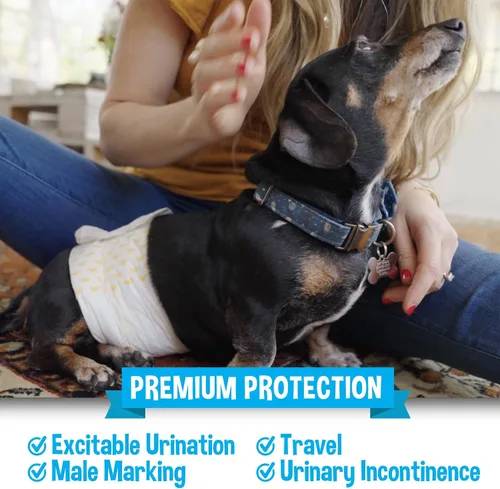 Miniatura 5 de Bodhi Dog Pañales desechables para perros machos - Superabsorbentes, impermeables, ajustables, diseño cómodo, control avanzado de la humedad e