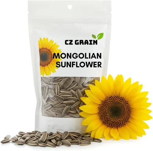 Miniatura 3 de El girasol más grande del mundo 10 semillas para cultivar Semillas de girasol mongol, enormes flores de 18 pulgadas