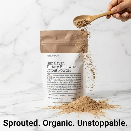 Miniatura 8 de BIG BOLD HEALTH Himalayan Tartary - Polvo de germinado de trigo sarraceno, rico en polifenoles y fibra prebiótica, sin OMG, sin gluten, sin granos