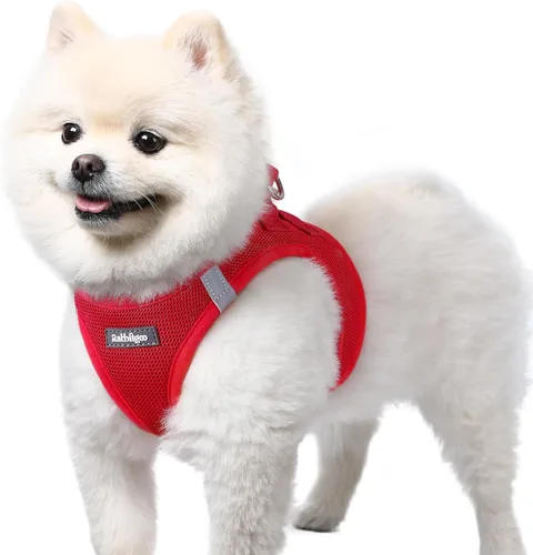 Miniatura 66 de rabbitgoo Arnés para perro pequeño, chaleco de malla suave para cachorros con hebilla de seguridad, arnés reflectante transpirable para mascotas