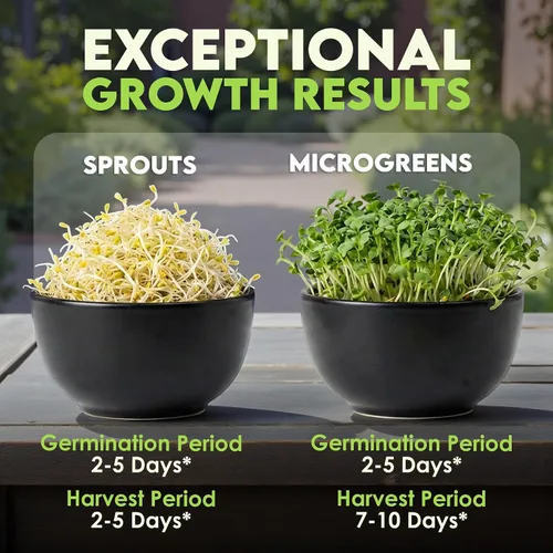 Miniatura 5 de Nature Jims Sprouts Semillas de alfalfa – Kit de cultivo de brotes orgánicos sin OMG para plantar – Bolsa resellable premium para semillas frescas