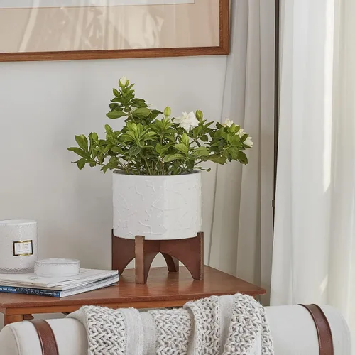 Miniatura 2 de LA JOLIE MUSE Macetas para plantas, maceta de cerámica de 8 pulgadas con soporte para plantas