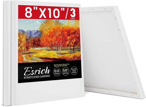 Miniatura 11 de ESRICH Lienzo estirado para pintar, paquete de 12 lienzos en blanco de varios tamaños para pintar, lienzo imprimado para niños, adultos