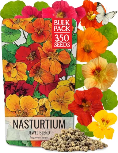 Seed Needs Semillas de Capuchina Jewel Mix Flores Comestibles Multicolores | 1.5 Onzas 350+ Semillas Tropaeolum Nanum Mezcla de Semillas de Flores