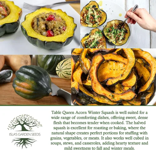 Miniatura 6 de Table Queen - Semillas de calabaza de invierno de bellota para plantar, más de 30 semillas de reliquia por paquete, semillas de jardín