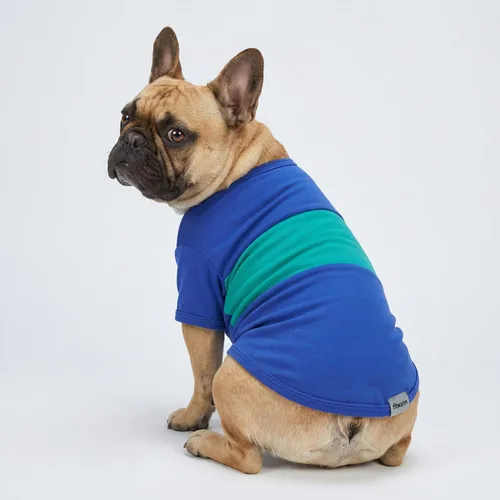 Miniatura 4 de Fitwarm - Paquete de 3 camisas con bloques de color a rayas para perros, ropa de verano para perros pequeños, camiseta ligera y transpirable
