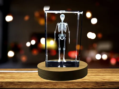 Miniatura 22 de Regalo para médicos 3D grabado en cristal recuerdo/regalo/decoración/(pequeño (3 x 2 x 2 pulgadas), arterias)
