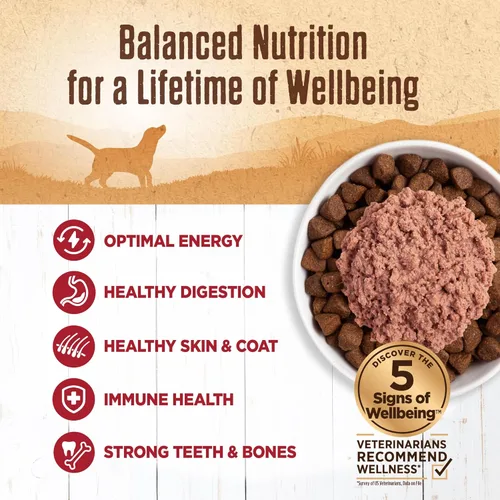Miniatura 3 de Alimento húmedo Wellness enlatado para perros, sin granos, 95% natural, lata de 13.2 onzas (paquete de 12), Rojo
