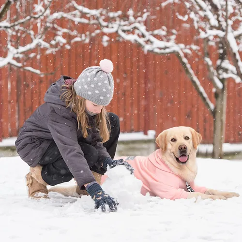Miniatura 6 de Perro con capucha, abrigo de invierno para perros grandes y medianos, sin botones, de 9 patas, abrigo cálido con capucha, forro polar con capucha