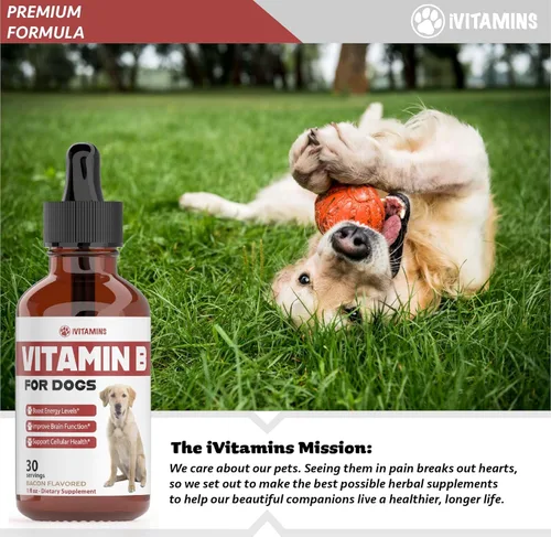 Miniatura 6 de Vitamina B para perros – Complejo de vitamina B para perros – Apoya la energía saludable, el apetito, la vista y mucho más – Vitaminas para perros