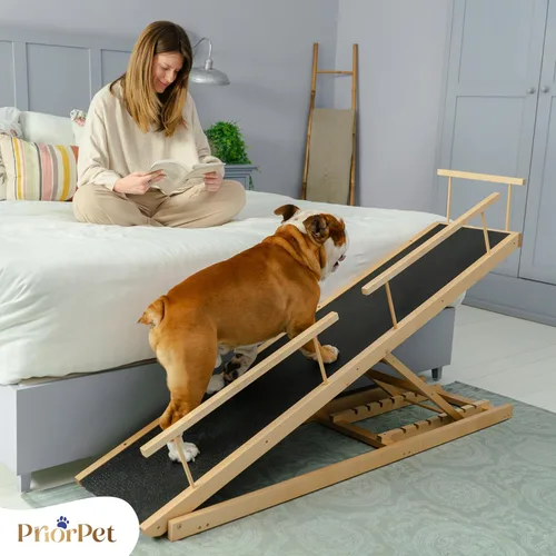 Miniatura 8 de Rampa para perros para cama - Rampa ajustable de madera de abedul PRIORPET para que los perros se suban a la cama: rampas para perros para camas