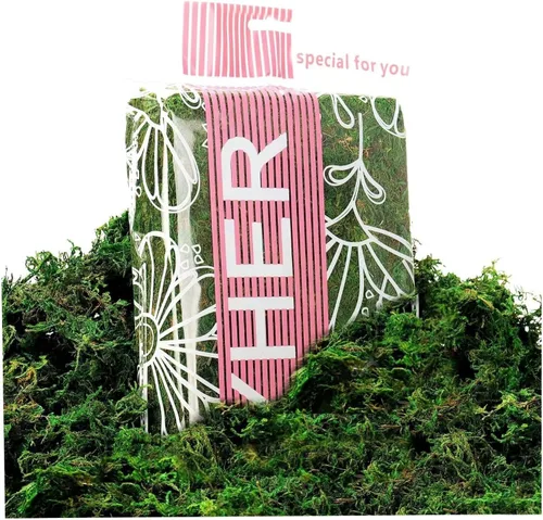 Miniatura 2 de Byher 92926 - Musgo de bosque, verde fresco, 8 onzas (200 pulgadas cúbicas)