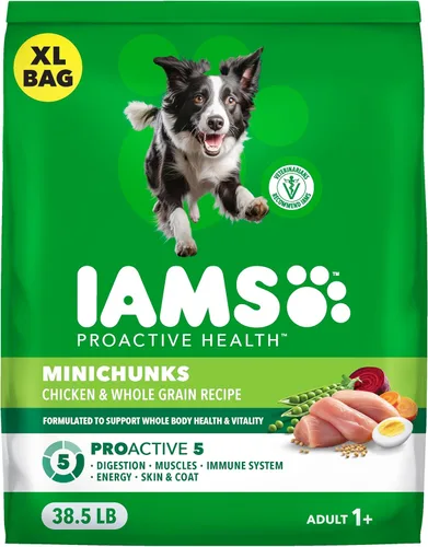 Miniatura 19 de IAMS Proactive Health Adult Minichunks Alimento Seco para Perros receta de Pollo y Granos Integrales, Bolsa de 30 lb