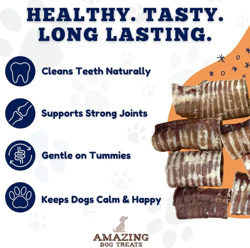 Miniatura 4 de Amazing Dog Treats - Anillos de tráquea de ternera (3-4 pulgadas, 12 unidades) -Masticables prémium para perros- Ideal para perros de tamaño pequeño