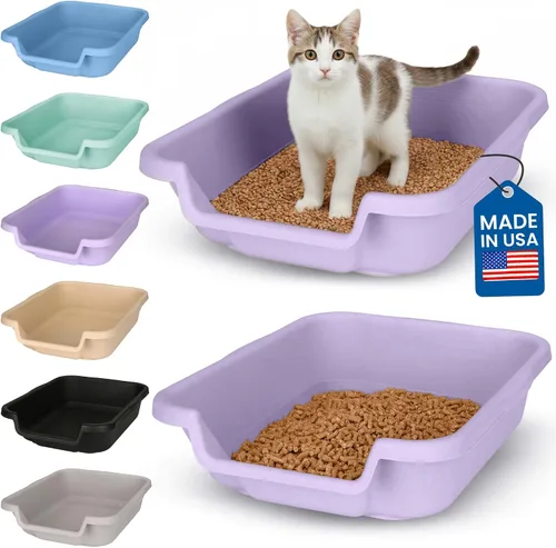 Miniatura 26 de KittyGoHere - Caja de arena para gatos mayores, sartén pequeña con cuchara jumbo de mango largo, caja de arena para gatos de entrada baja, ligera