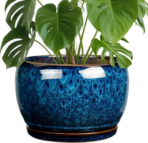 Miniatura 53 de SQOWL Macetas de cerámica – Maceta de 6 pulgadas con orificio de drenaje y bandeja, maceta redonda para plantas de interior, maceta decorativa