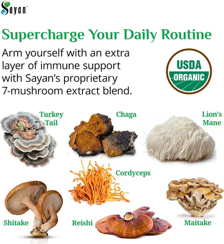 Miniatura 4 de Sayan 7 Extracto de hongos 90 cápsulas/440 mg ea – Apoyo inmunológico y energía – Chaga orgánico, Reishi, melena de león, maitake, shiitake, mezcla
