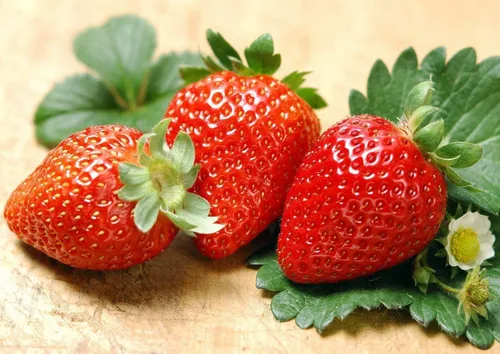 300 semillas de fresa gigante, fresa roja dulce/semillas orgánicas de fruta de fresa, para plantar en el jardín en casa