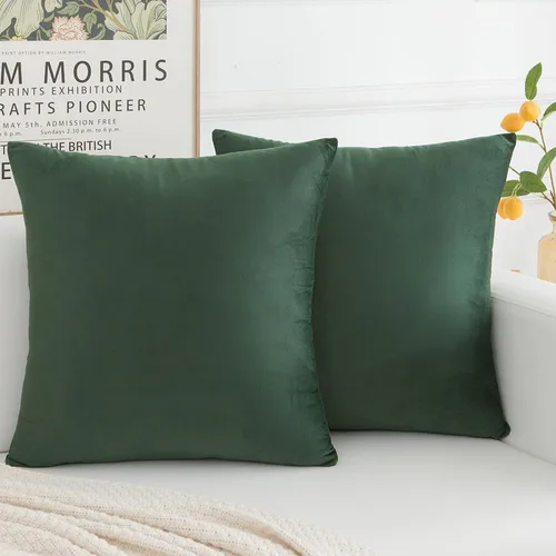 Miniatura 21 de Juego de 2 fundas de almohada decorativas de terciopelo, funda de cojín cuadrada suave para decoración del hogar para sala de estar, sofá o cama