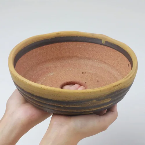 Miniatura 5 de Wazakura Serie Shigaraki Maceta de Bonsái de Cerámica Esmaltada con Rayas de Polvo Amarillo Hecha en Japón, Contenedor de Entrenamiento para Jardín