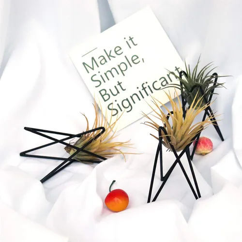 Miniatura 5 de Paquete de 4 soportes para plantas de aire, base Tillandsia, soporte geométrico moderno de metal para plantas de aire, estante de exhibición