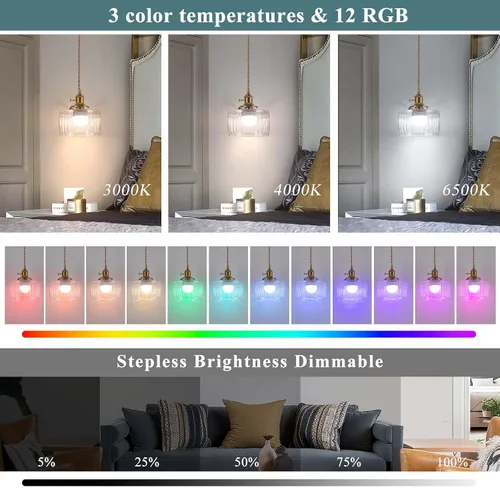 Miniatura 3 de Lámpara Colgante a Batería, Accesorios de Iluminación Vintage 2500mAh 6.6 pulgadas Bombilla RGB con Control Remoto Lámpara de Araña Inalámbrica