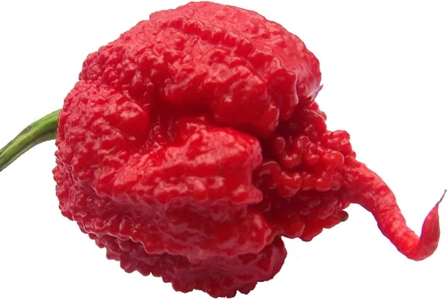Semillas Premium Carolina Reaper HP22B para Plantar Paquete Récord, las Más Picantes del Mundo