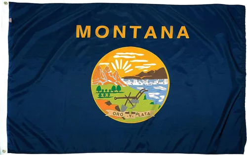 Miniatura 8 de FlagSource Bandera del estado de nailon de Iowa, fabricada en los Estados Unidos, 4 x 6 pies Iowa 4x6