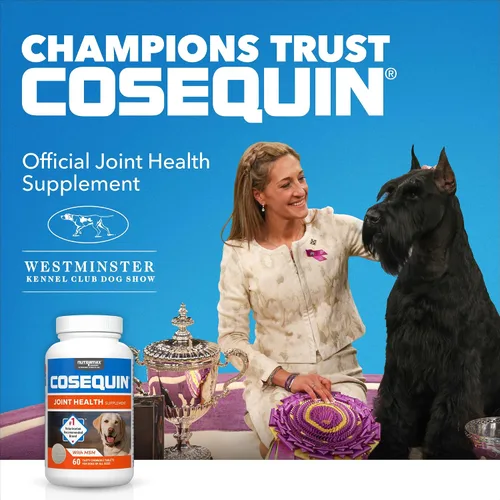 Miniatura 2 de Nutramax Laboratories Cosequin Suplemento de salud articular de máxima fuerza para perros, con glucosamina, condroitina y MSM, paquete de 2, 264